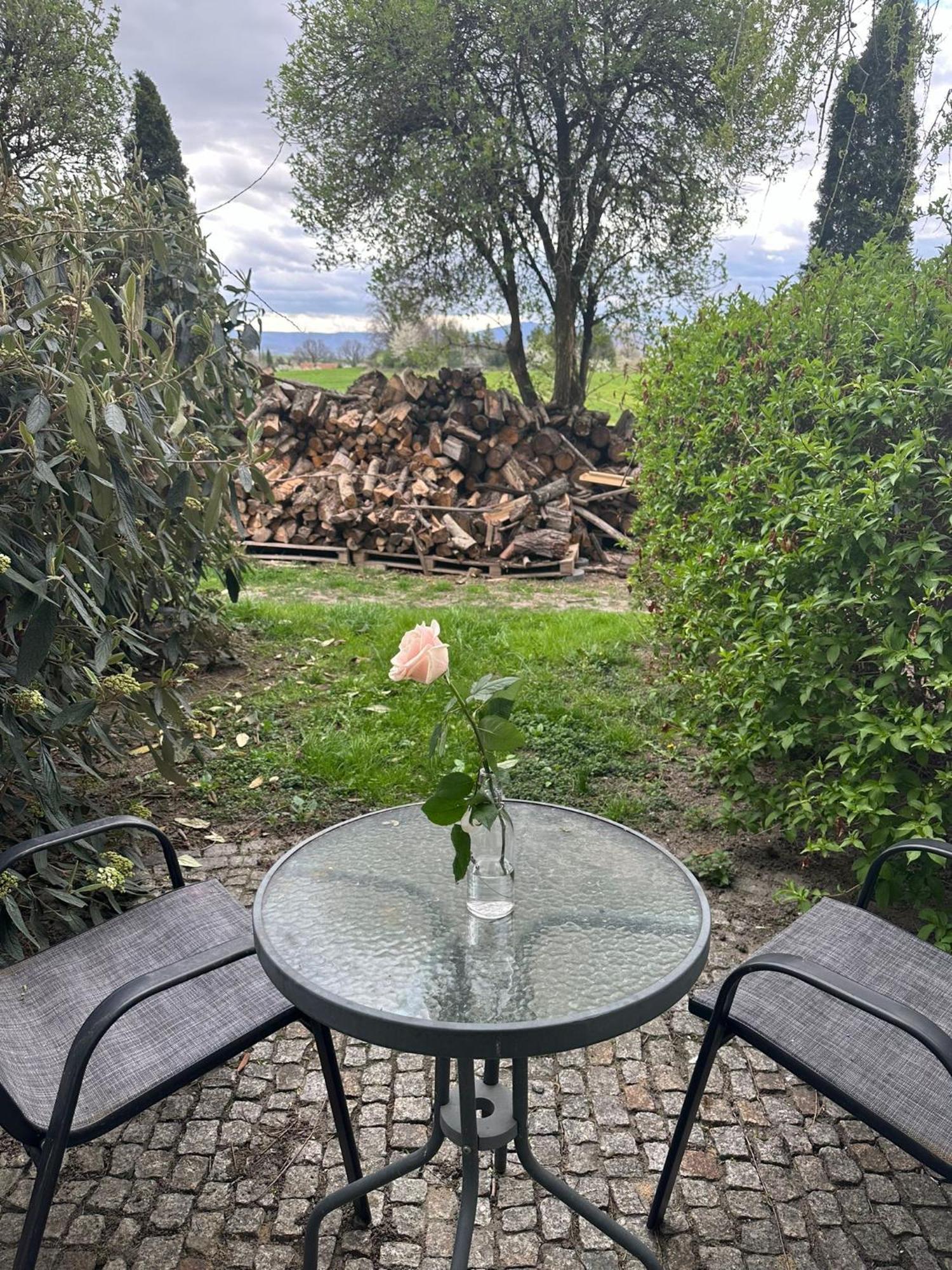Forteca, Pokoje Goscinne Nad Stawem Dzierzoniow Bagian luar foto