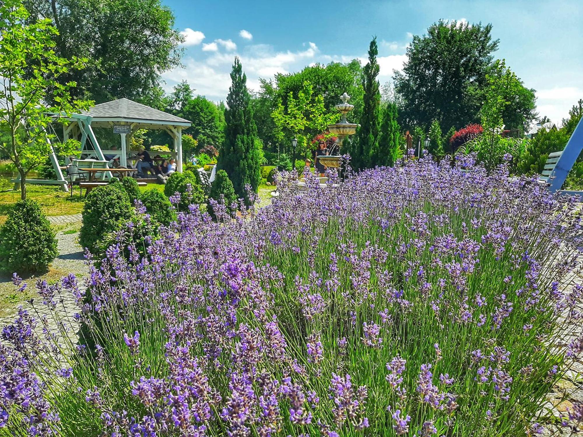 Forteca, Pokoje Goscinne Nad Stawem Dzierzoniow Bagian luar foto